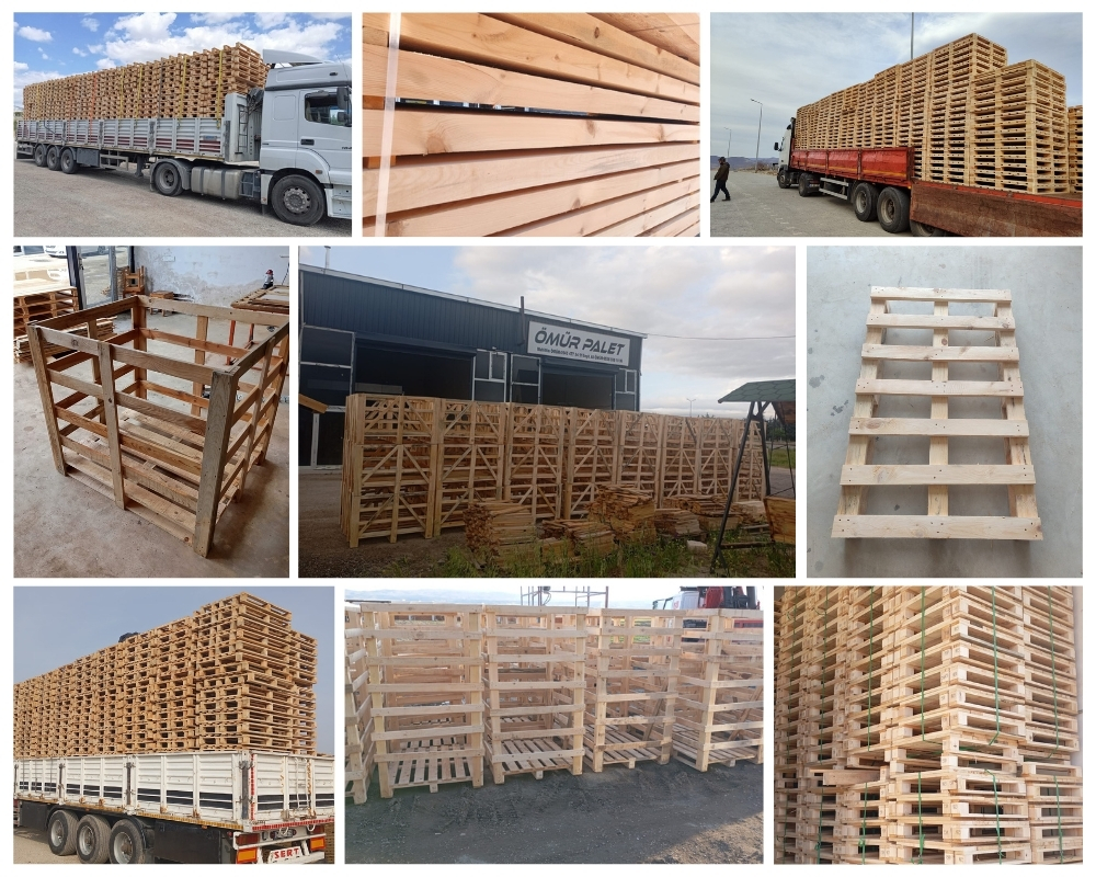 Sint-Niklaas Houten Kisten, Europallets Groothandel Kopen